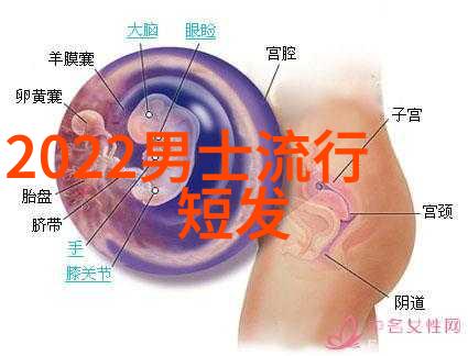 在视频教程中应该如何展示每一步骤确保观众能够跟上节奏