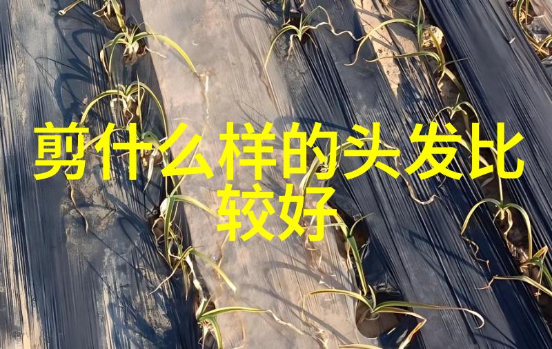 在无人的角落里隐藏的秘密与愿望