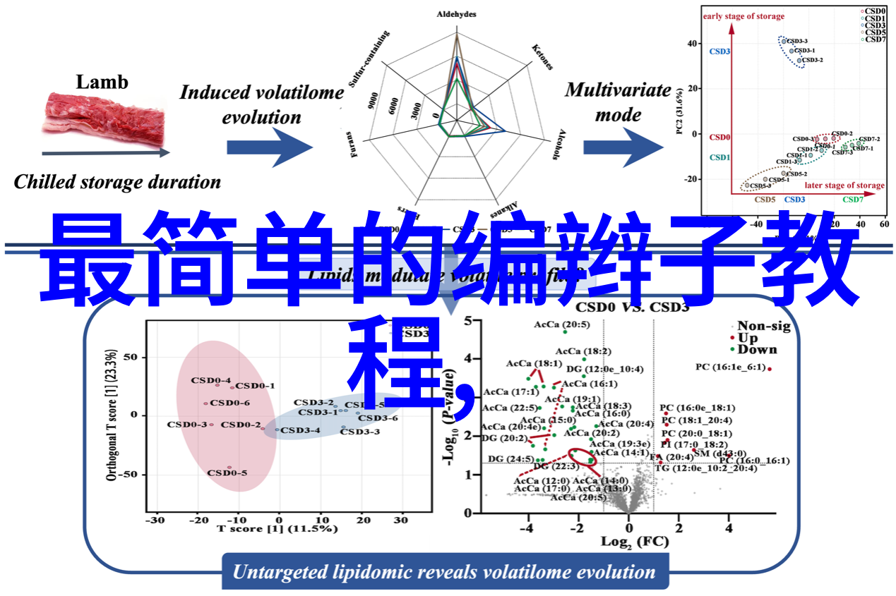 长安三万里唐诗诗的历史画卷带你翱翔千年风华