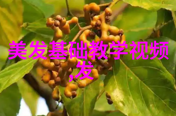 主题我是1111的幸运儿揭秘我的四个幸运数字