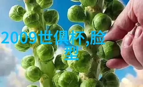 发型魅力剪刀与梳子的艺术对话