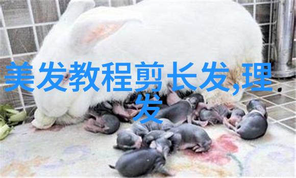 人猪交互MOUSE农场智慧农业与动物友好的未来