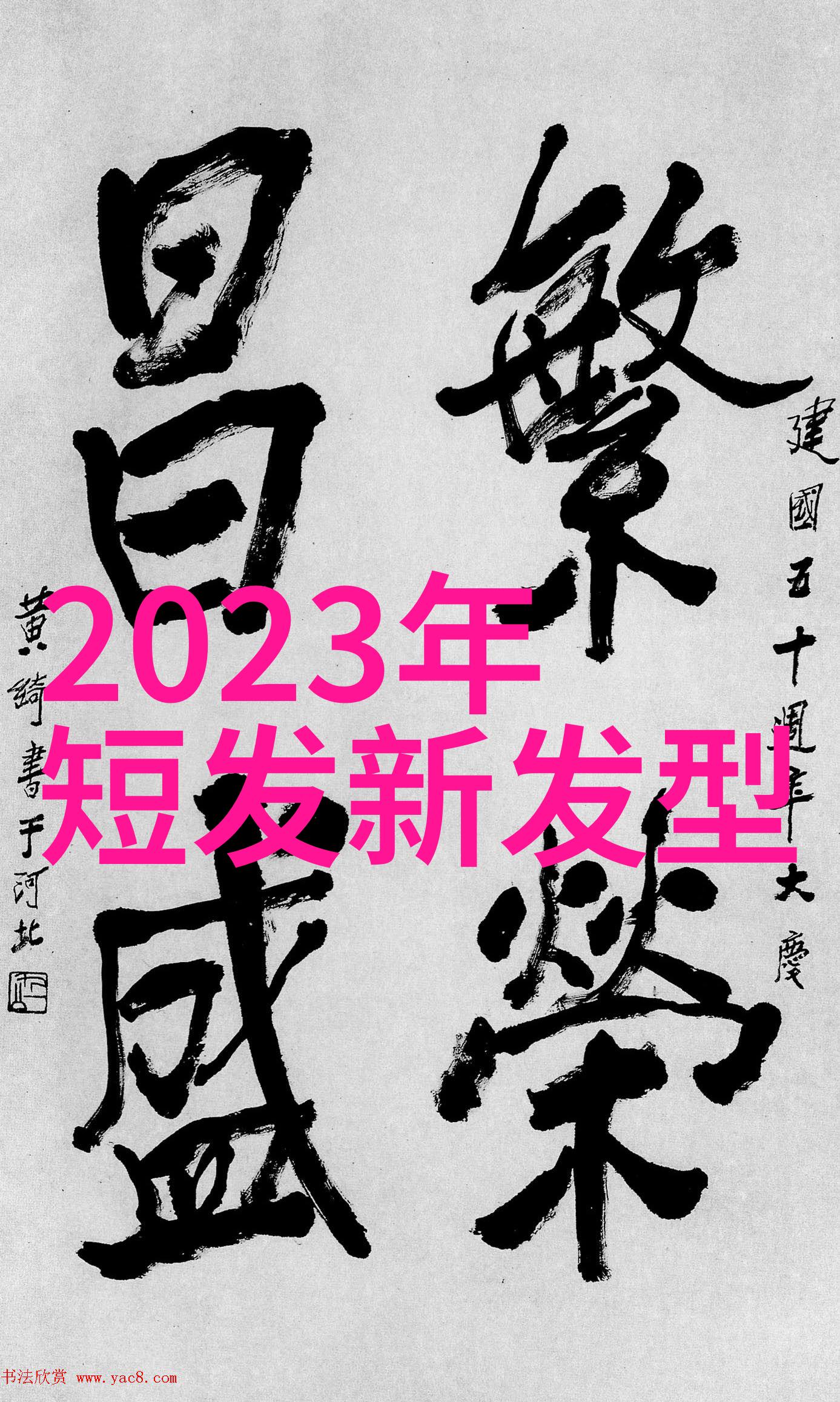 2023年最新时尚美发造型各种流行发型展示