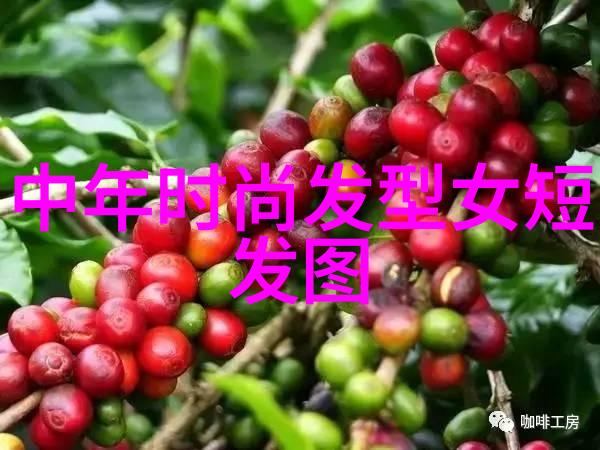 编发艺术大师中长发100种变身秘籍