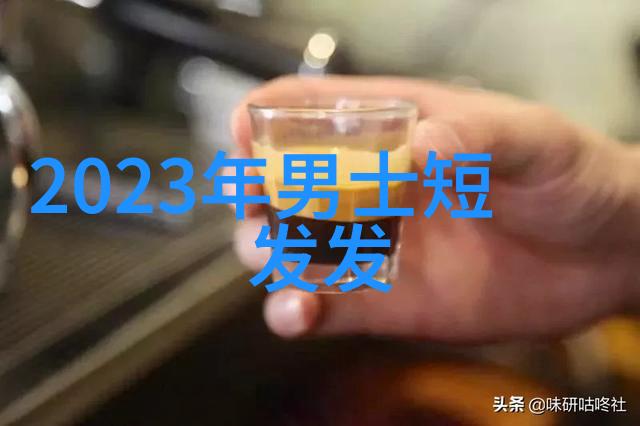 杨洪刚理发全套初级教程视频大合集掌握基础技巧开启美发之旅