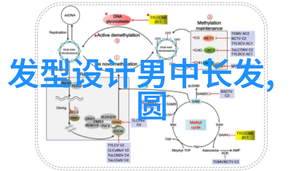 理发费用解析了解不同发型设计的价格范围