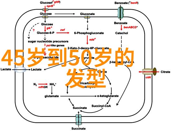 简易半扎半披发型-夏日轻松时尚如何一分为二完美诠释街头风情