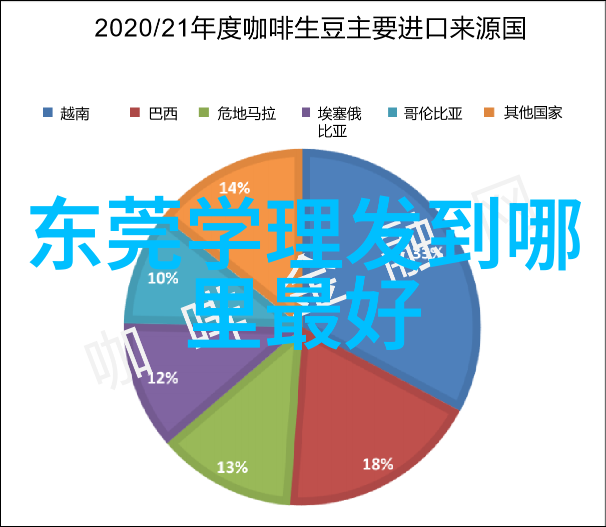 古典绽放12岁女孩的传统发型之美