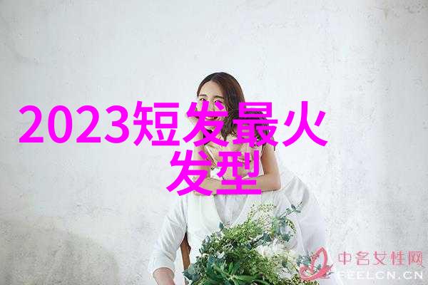 编发型女中长发时尚风范与经典魅力