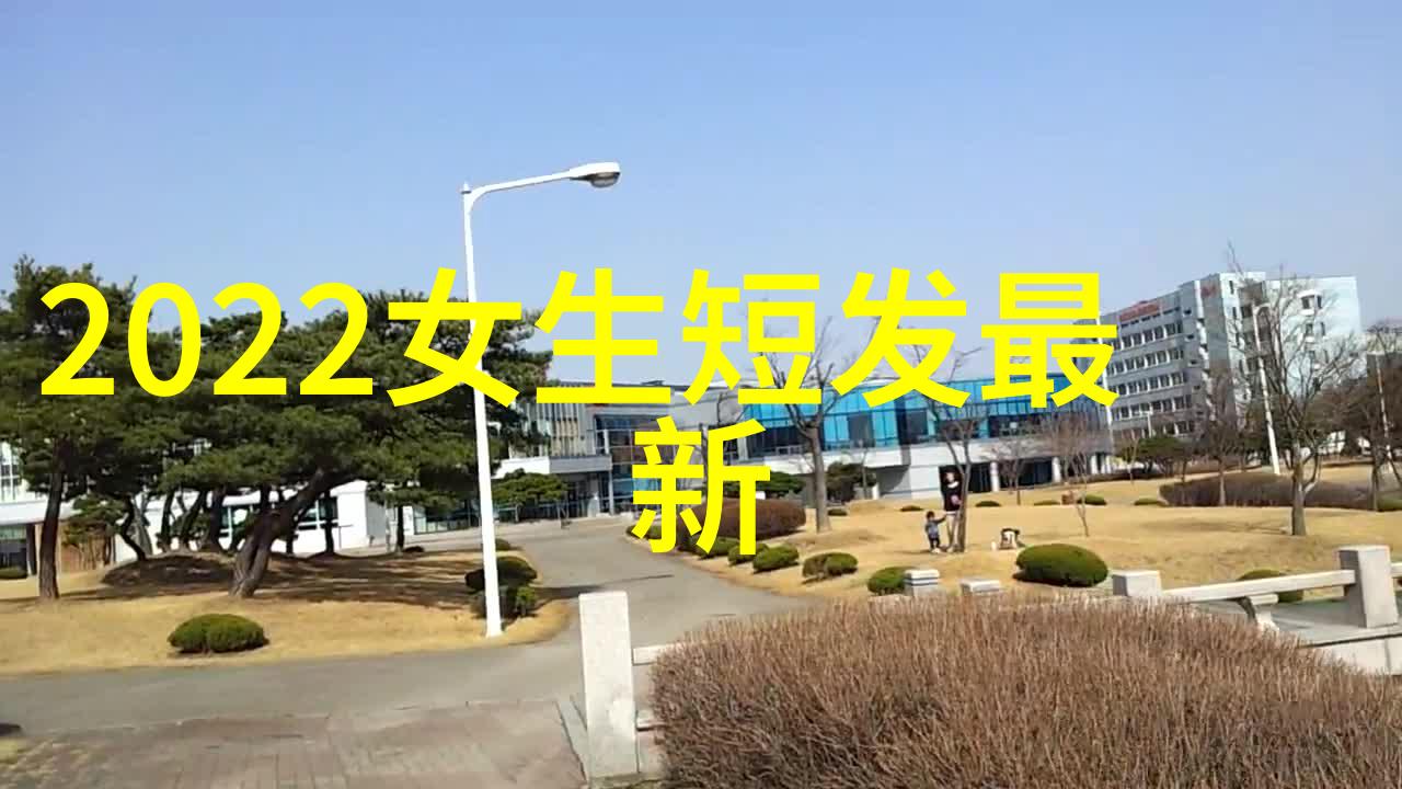 揭秘明星级别的简约风格学习于小红书上的顶尖设计师们之作