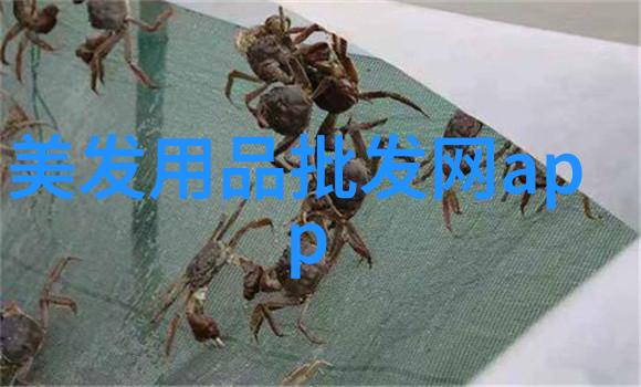 剪短时光女孩的新发篇章