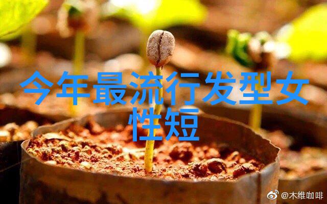 从零到精通探索0基础学美发的时间与秘诀