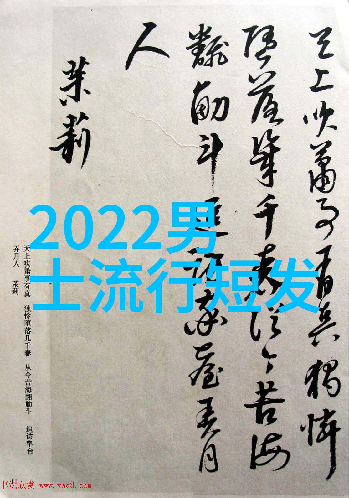 头发舞动笑容闪耀2023美发图片的幽默盛宴