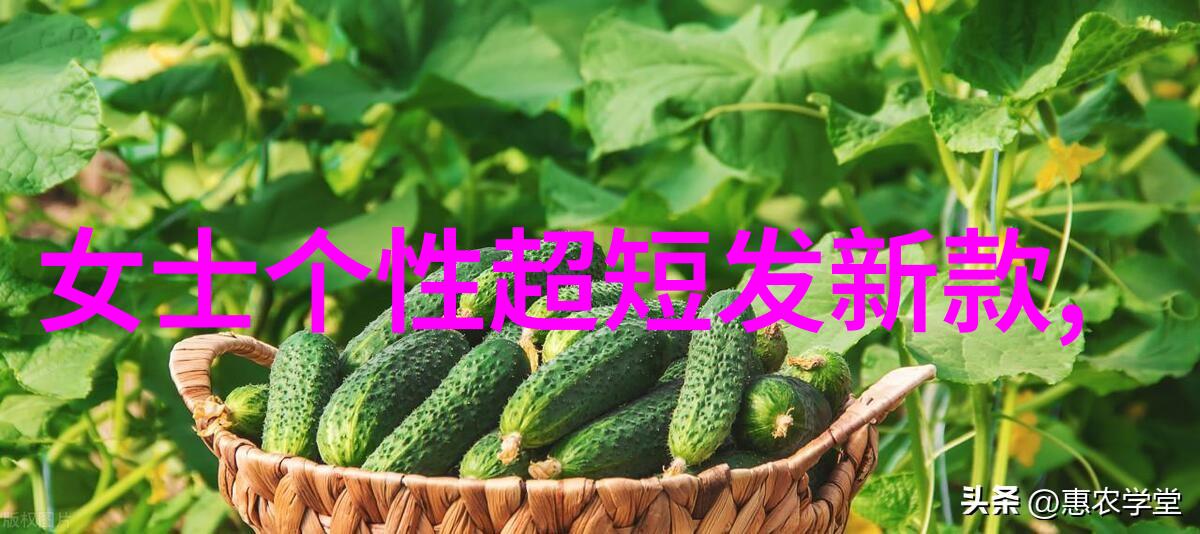 攀登梦想的阶梯