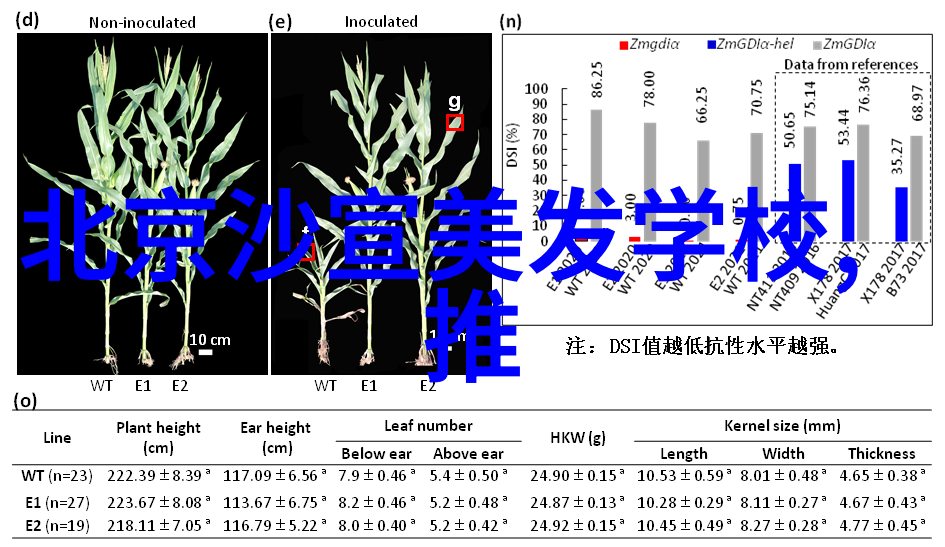 短发发型我是如何一点点学会爱上短发的