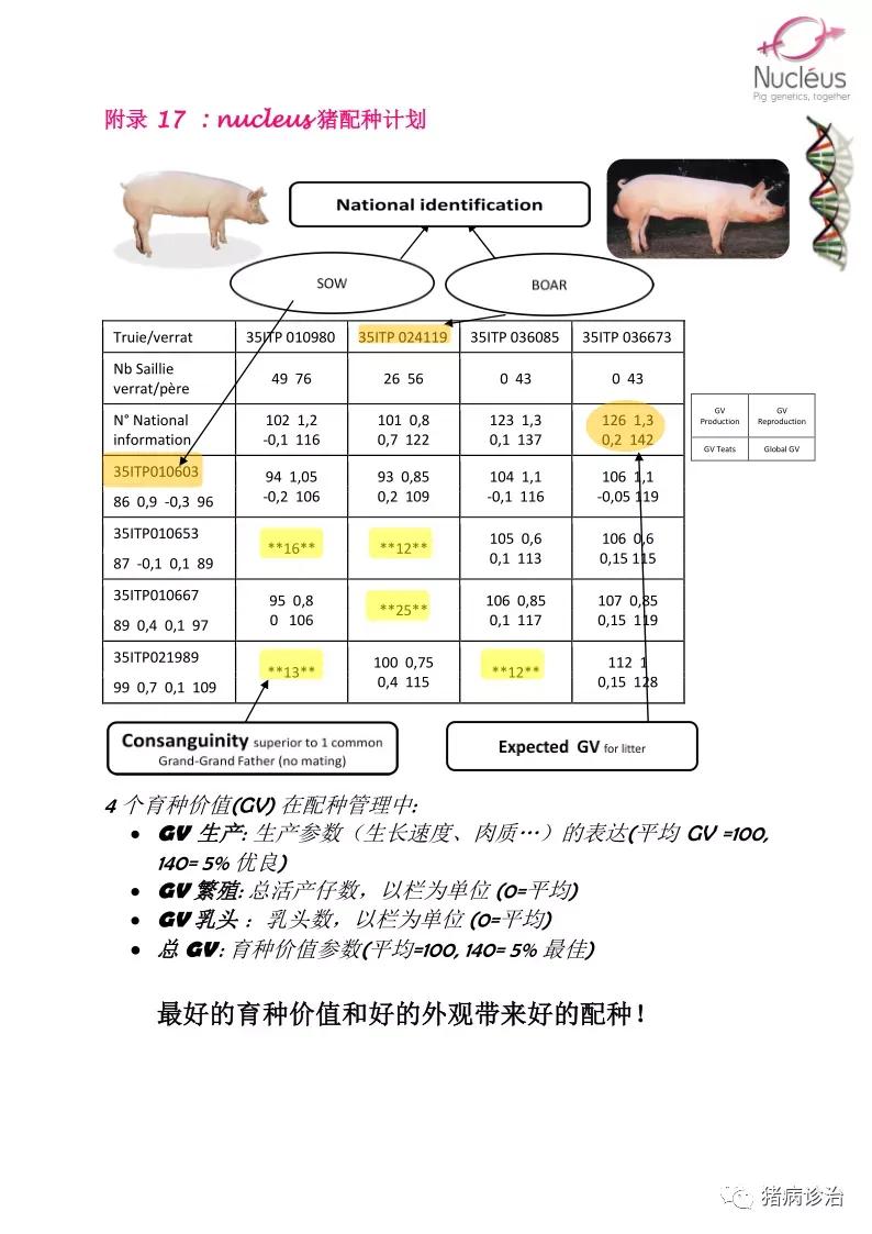 天文学中的黄道带和其特定的36度分割