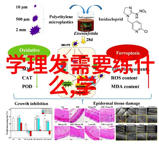 美发艺术与技巧的精髓深入浅出的正规美发培训实录