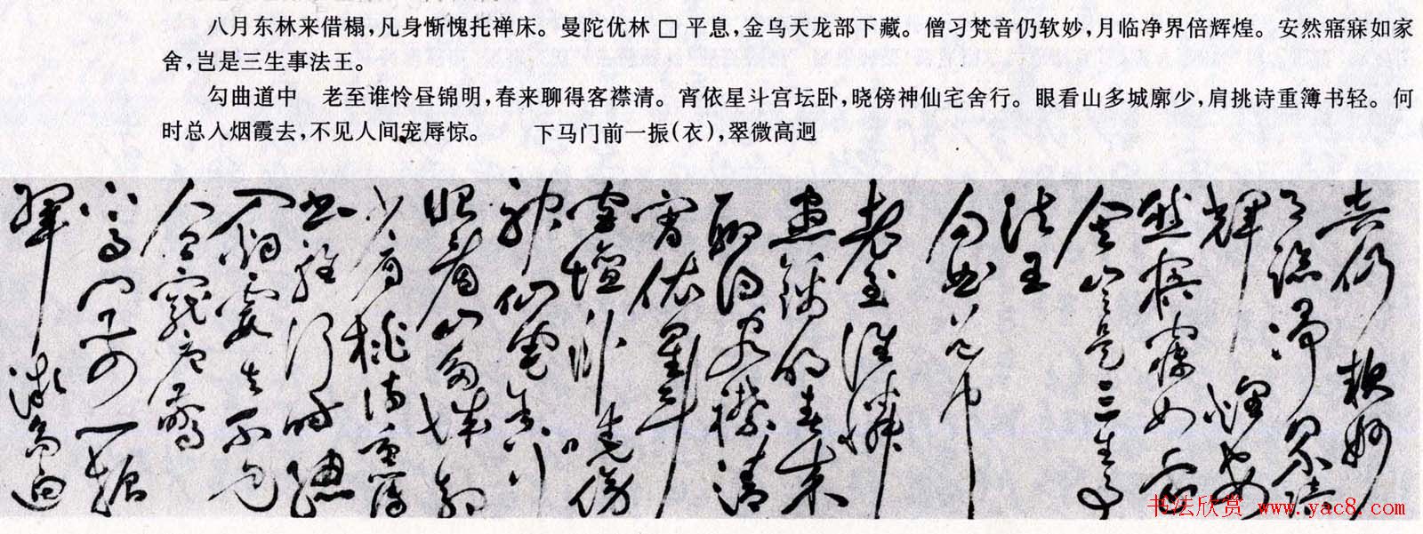 家中美发温馨指导如何给老妈打理头发