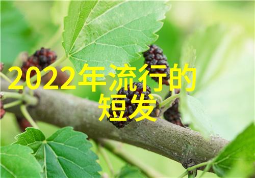 轻松变美丸子头秘诀日系风格一学就会