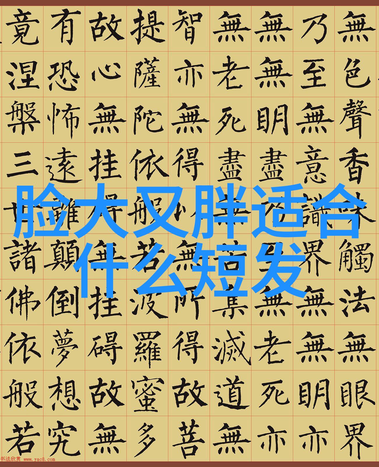 美发剪头理论知识我来教你如何把握剪刀的节奏让每一道切割都如行云流水