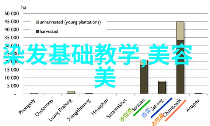 夏季新潮超短发风格引领时尚界的轻盈变革