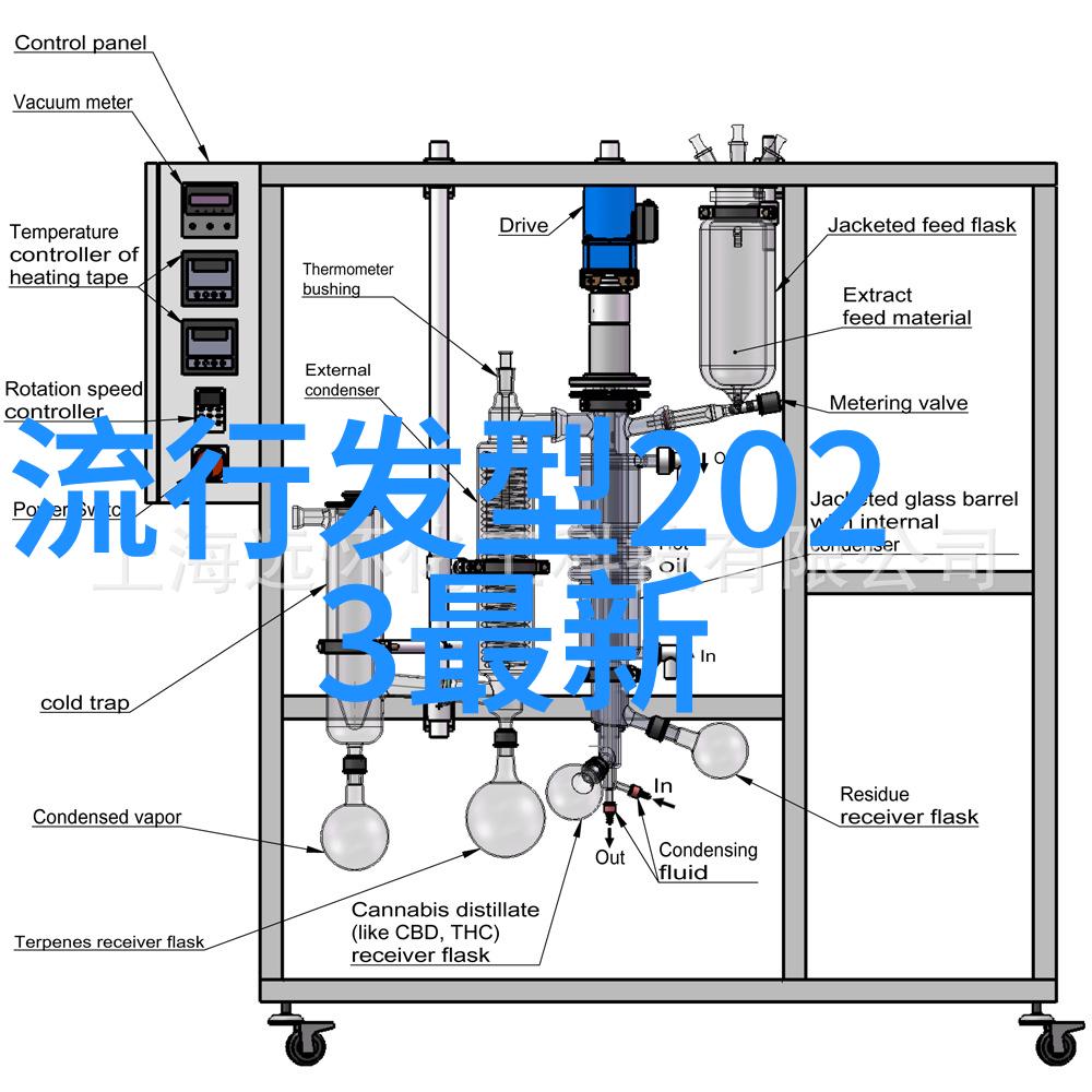 温柔剪发的艺术如何迅速掌握最美技巧