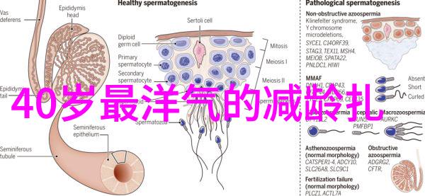 对于忙碌的都市女性简约又时尚的发式有哪些推荐