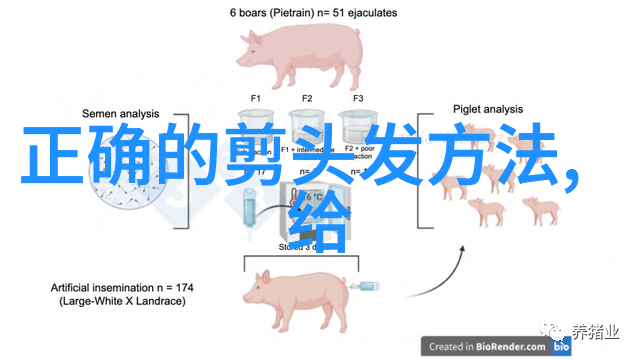 五月丁香合缴情网-春风得意马蹄疾花前月下情深锁