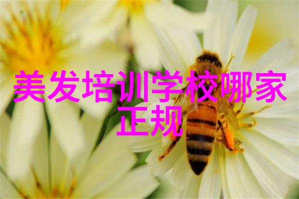 今年流行的最新短发 - 零距离魅力揭秘2023年最火短发风格