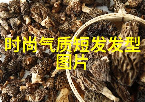 三维打印技术在制造业中的应用及其未来发展趋势研究