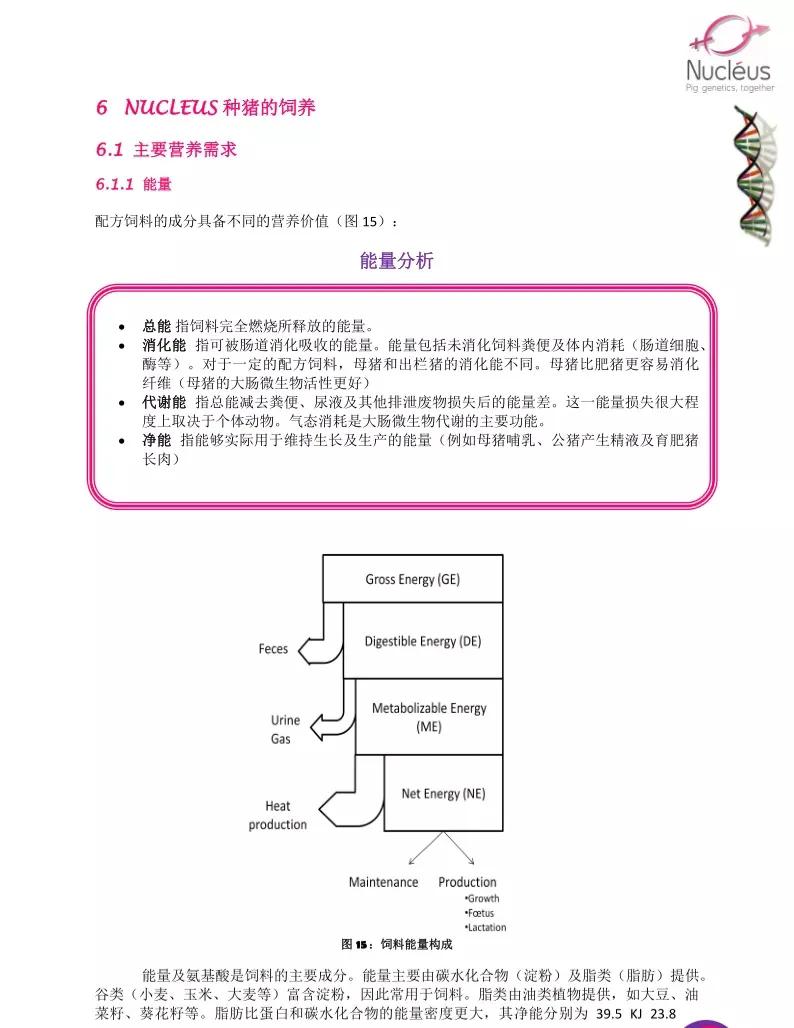 从零到精通学剪头发要多久学会探索技艺与经验的完美结合