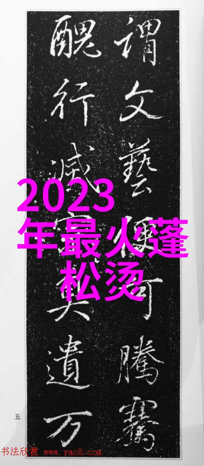 流光飞扬2023年最炽热的发型潮流探索