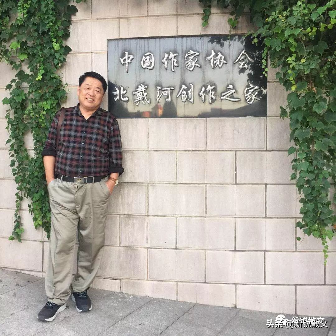 逆袭故事小红书上的女孩们是怎样通过短发画像改变自己的人生轨迹