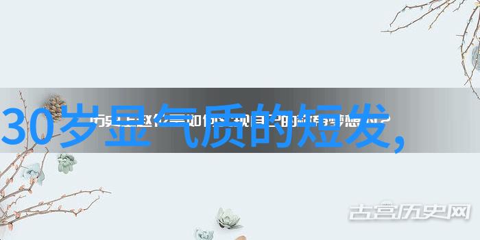 科技与创新-st运盛新一代交通解决方案的兴起