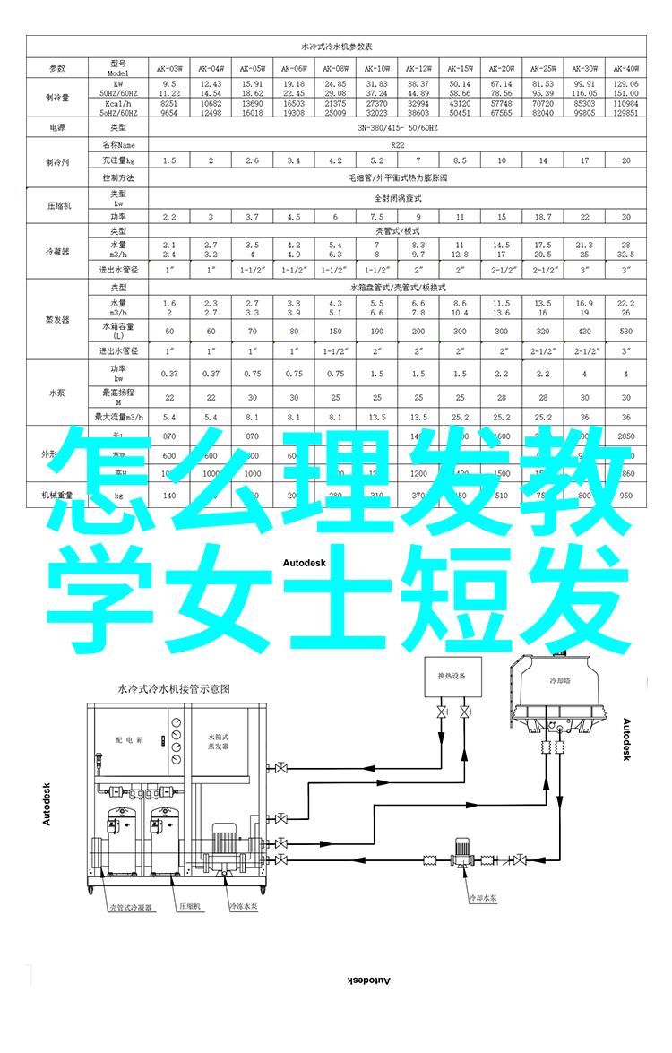 40岁女士的简短风姿最有气质的短发造型