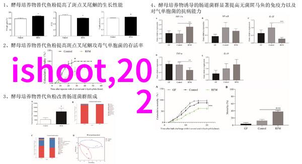 美发培训课我是如何在美发培训课上学到更多的秘诀