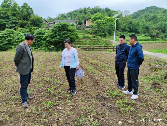 我要学美发美容快来看看这篇文章吧我也能成为超级理发师和化妆大师吗