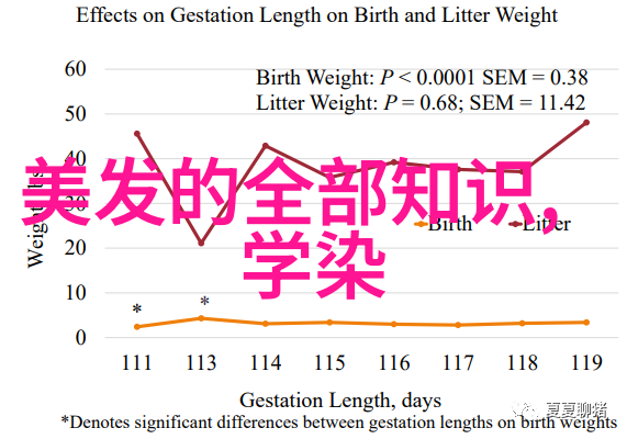 美发师课堂视频-剪裁与造型技巧精髓解析