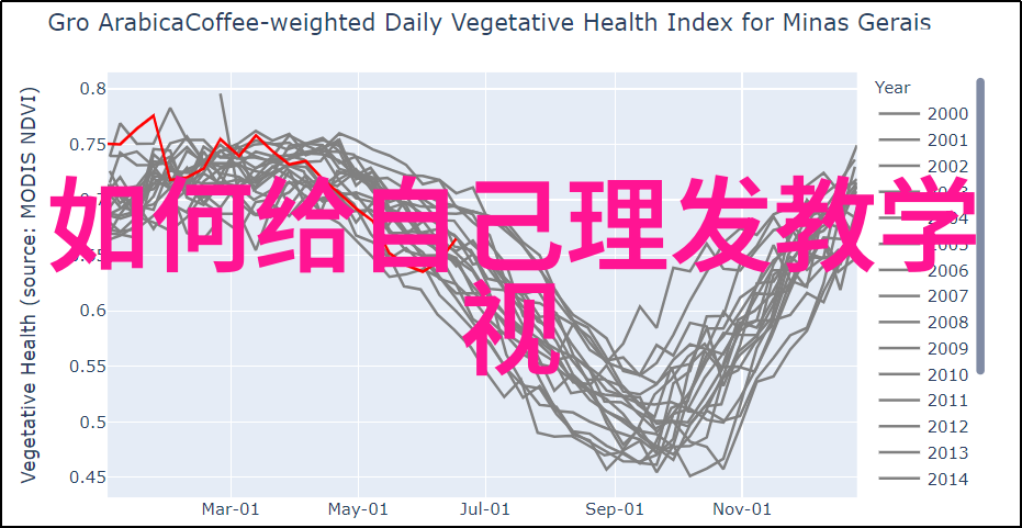 剪发染发造型全解析美发技艺视频大全