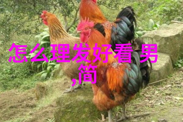 小男孩发型2021最新图片时尚儿童剪发设计简约男孩头型风格孩子们的新时代发型