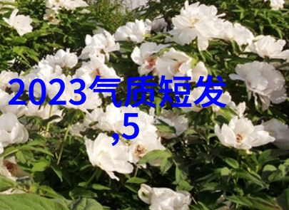 2023年最潮流的烫发风格从平面到层次时尚界的新宠儿