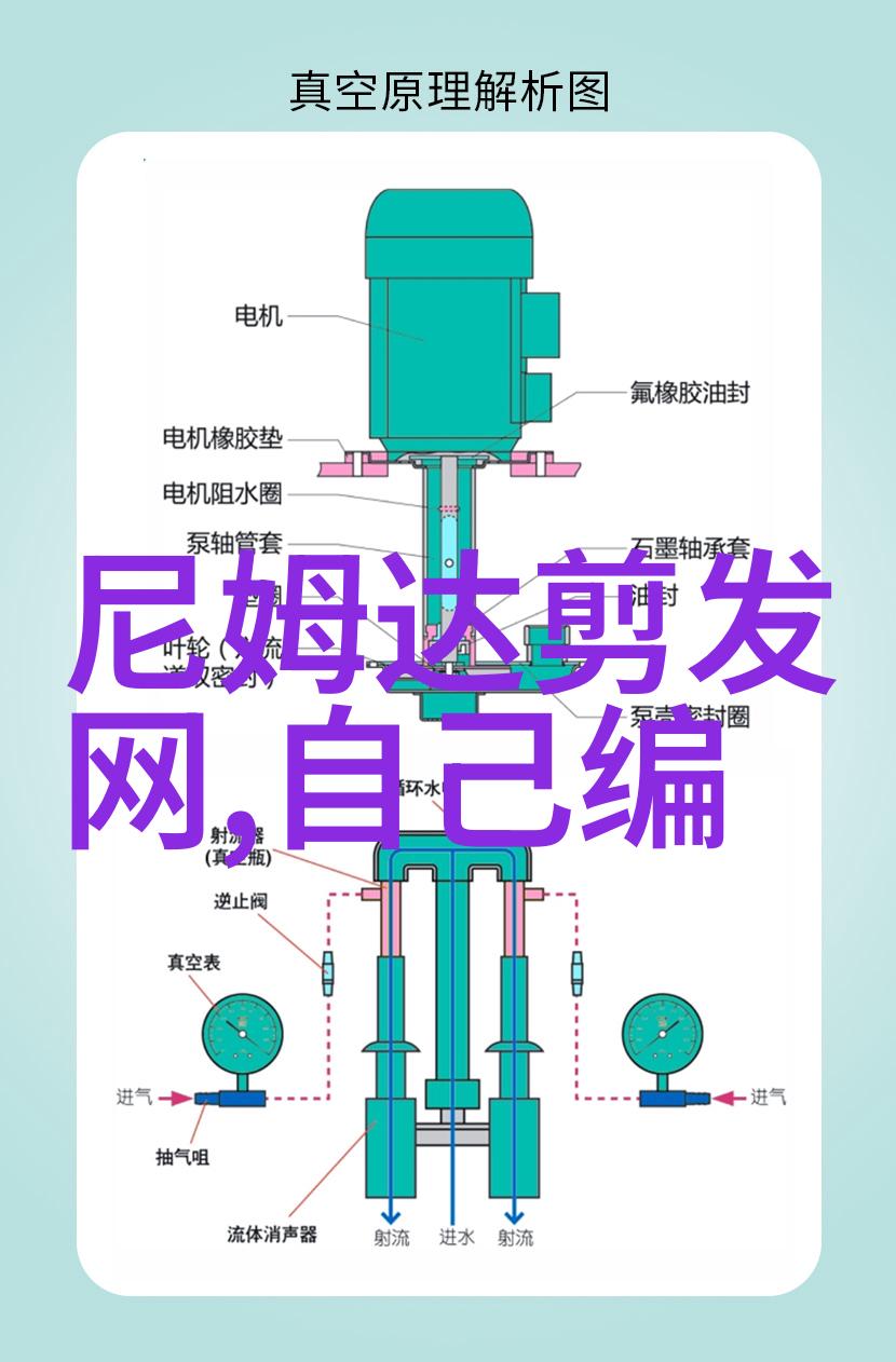 小小花仙的秘密花园探索Bibi的世界