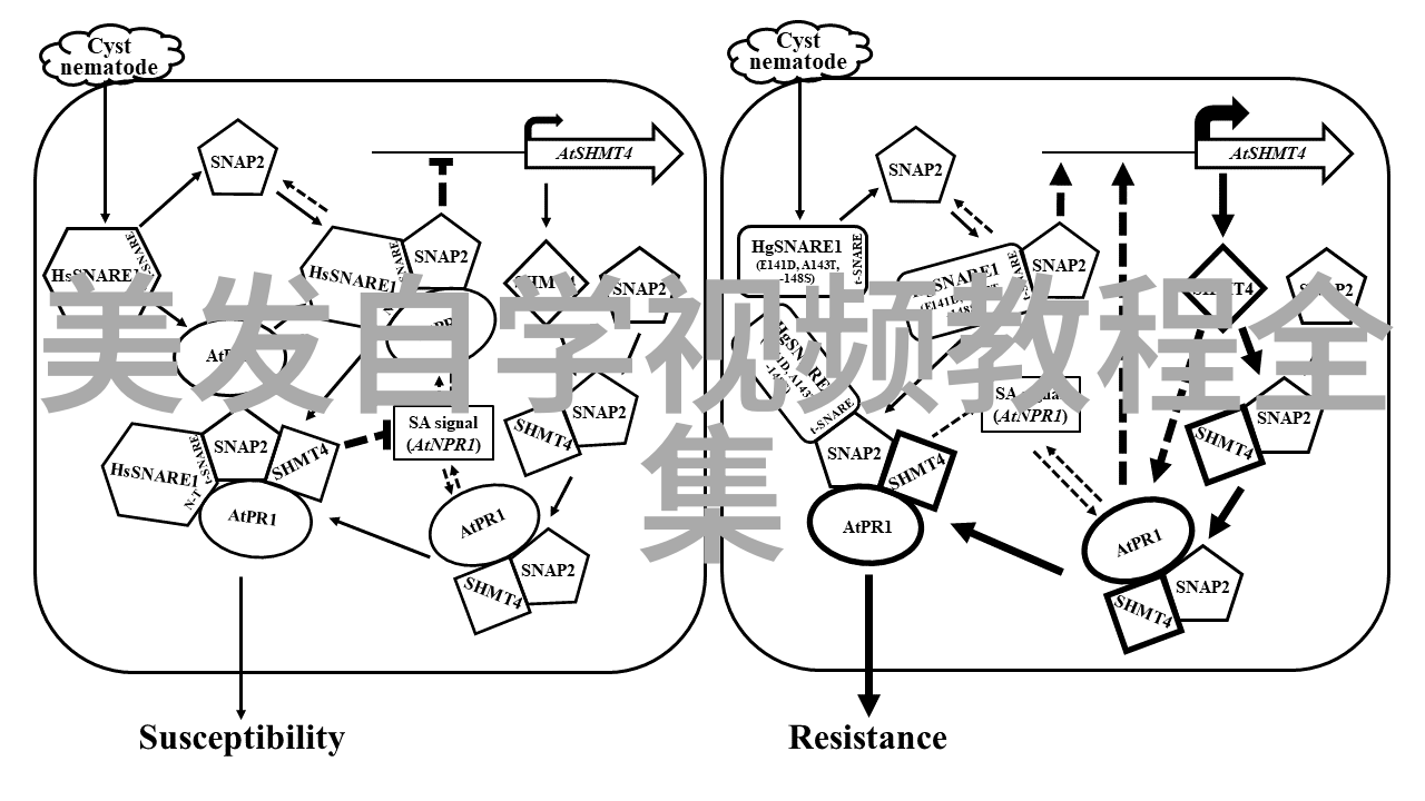 时尚前沿2022最受欢迎的女中短发风格与图库探秘