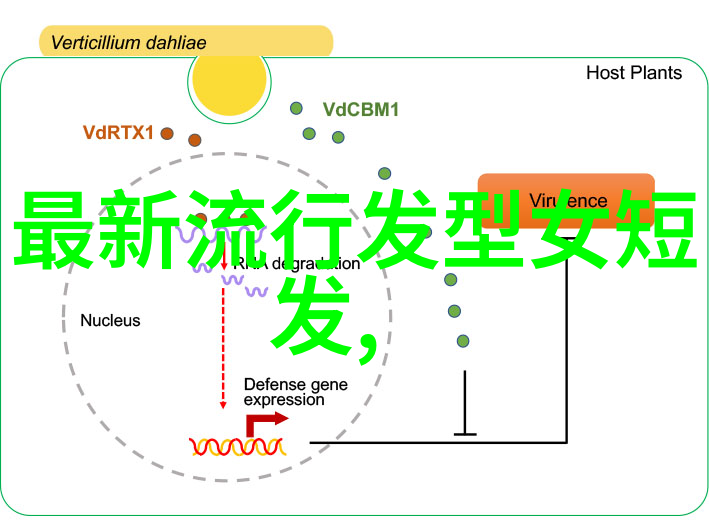 短发女孩如何打破传统美学走出自己的独特风格