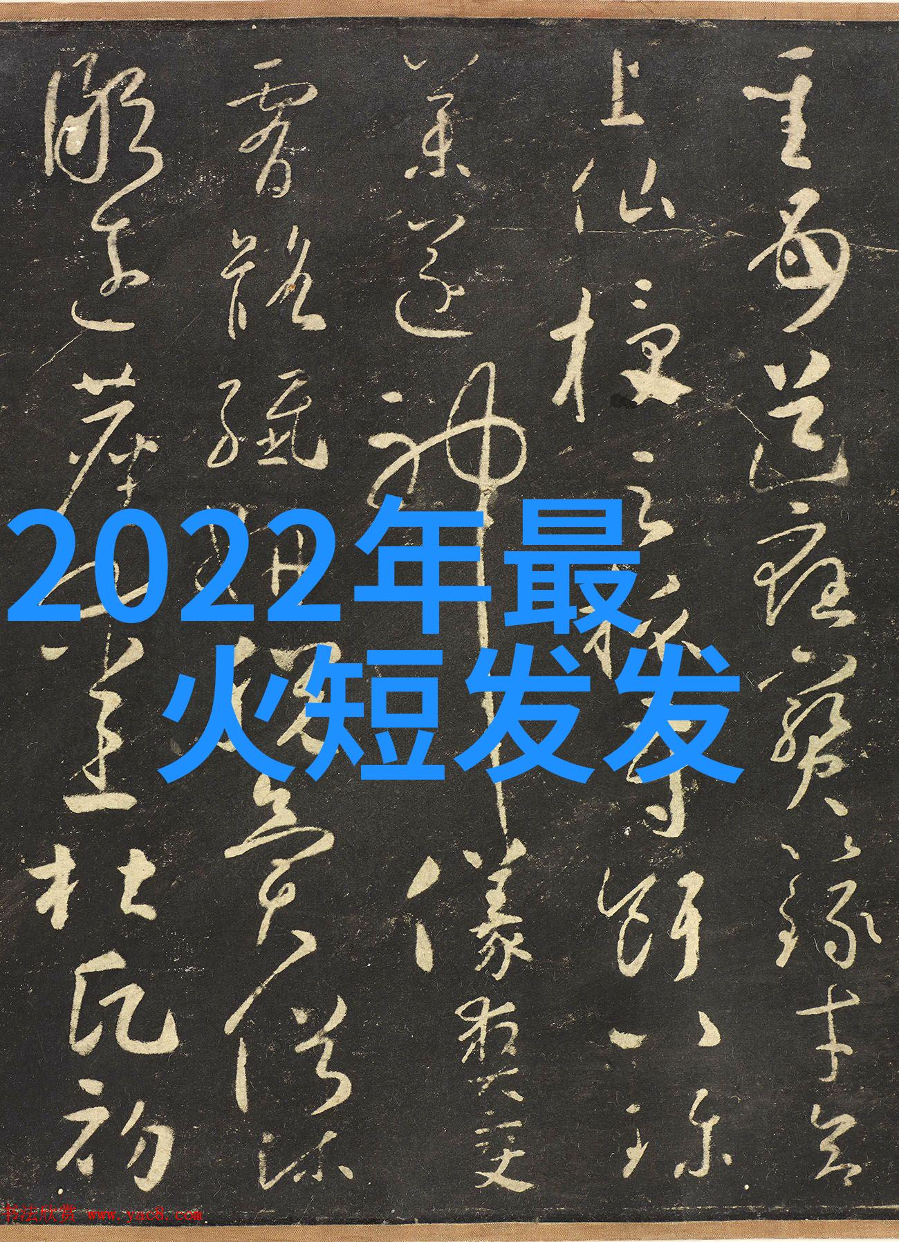 对于初学者来说参加实习还是理论课更重要