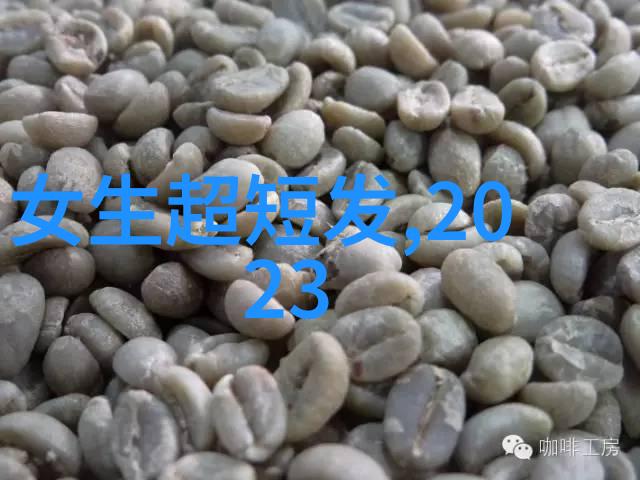 2023年美发趋势解读今年流行的短发风格与搭配秘诀