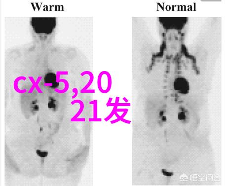 甜美淑女发型编法我来教你一招让人艳羡的水波纹卷技巧