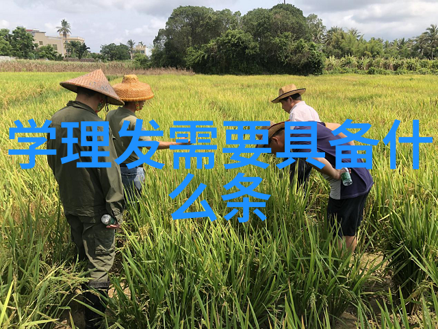 日系可爱发型女人在家自学剪短发技巧