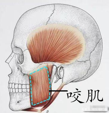 甩饼脸是形容哪个明星的脸型_方脸怎么改善脸型_矫正牙齿会改善脸型吗