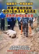 凯里小姐的奇幻之旅：一位勇敢少女的冒险故事